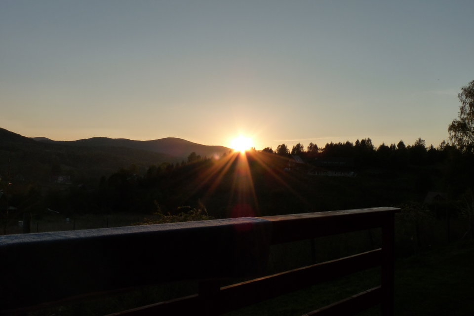 P1080216.JPG - gustawff