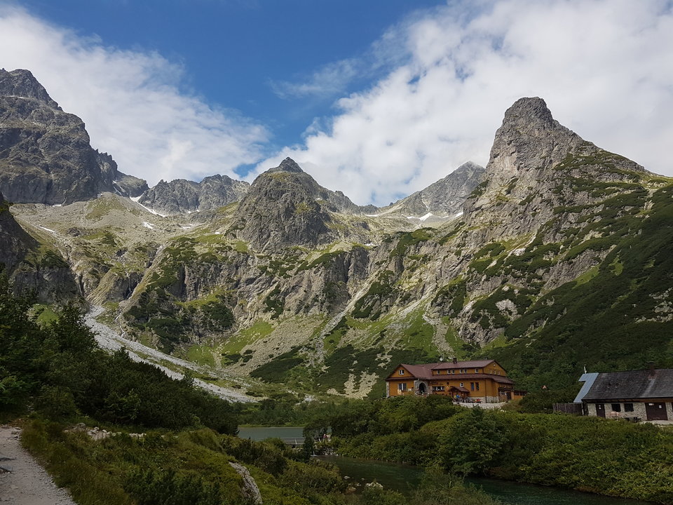 20180708_103534.jpg - Krzys171