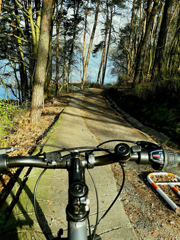 20190323_110443.jpg - Alien65