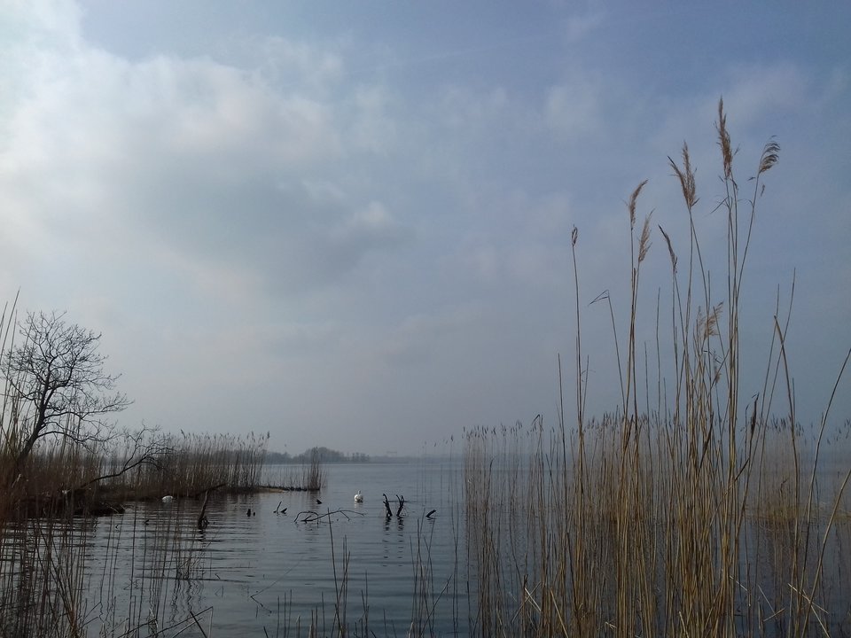 20190323_142026.jpg - torii99