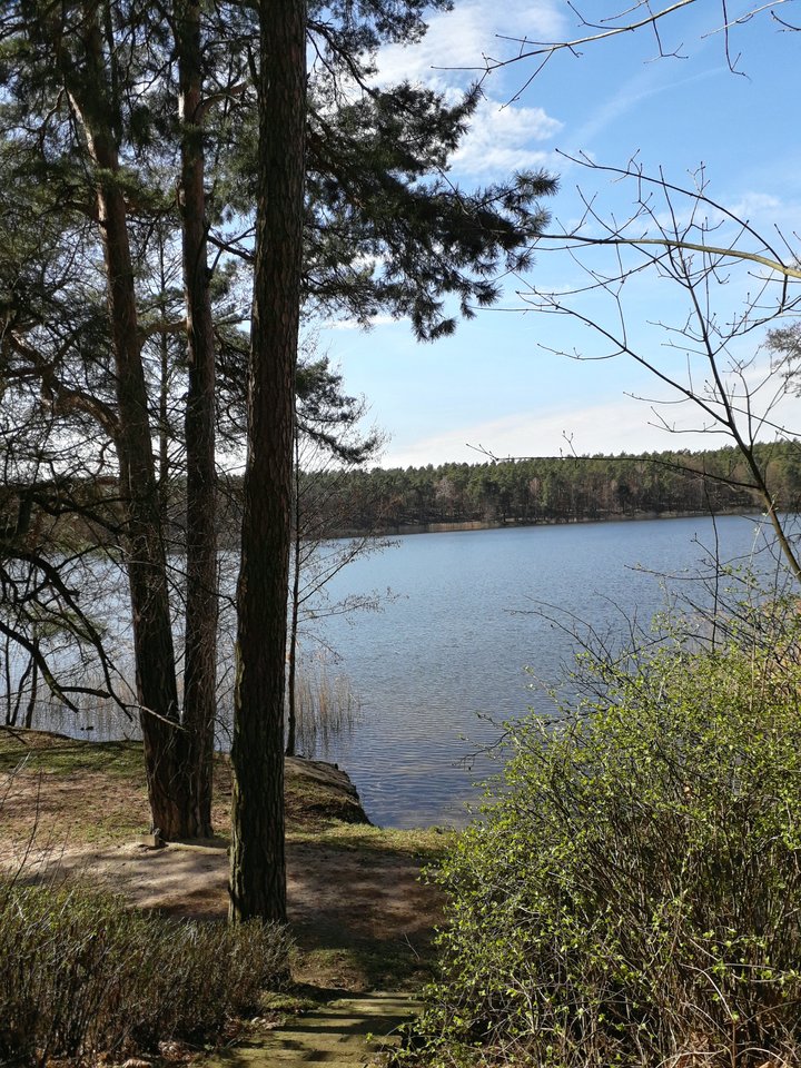 20190324_134335.jpg - Alien65