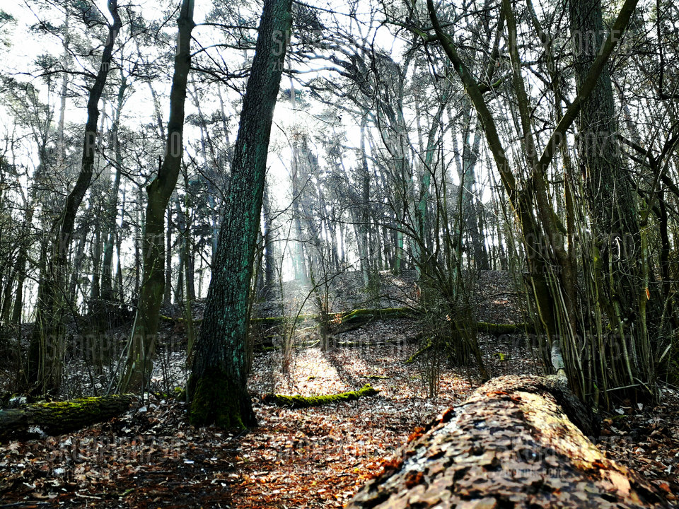 IMG_20190324_140448_604.jpg - Skorpion750