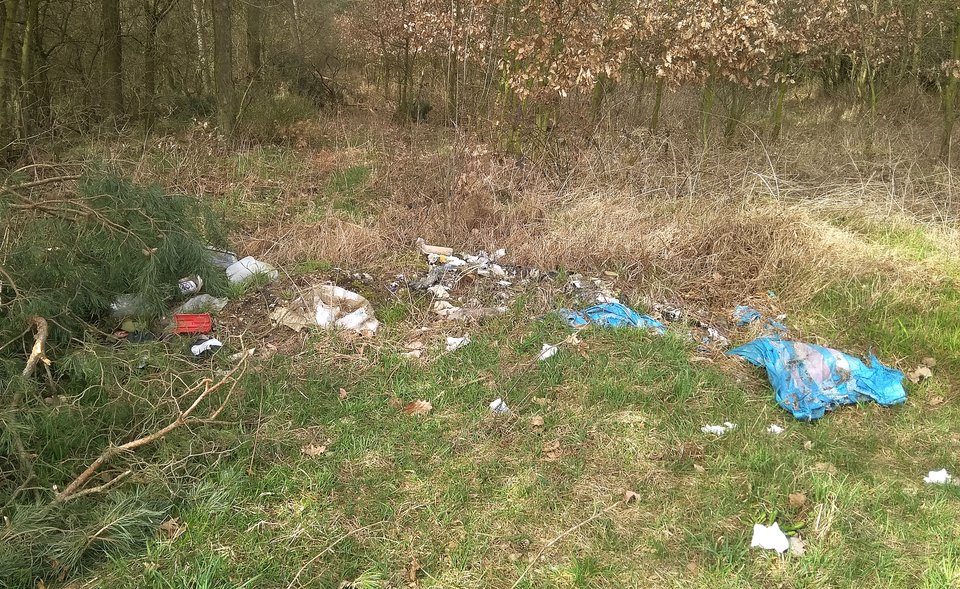 LB100252.jpg - solo75