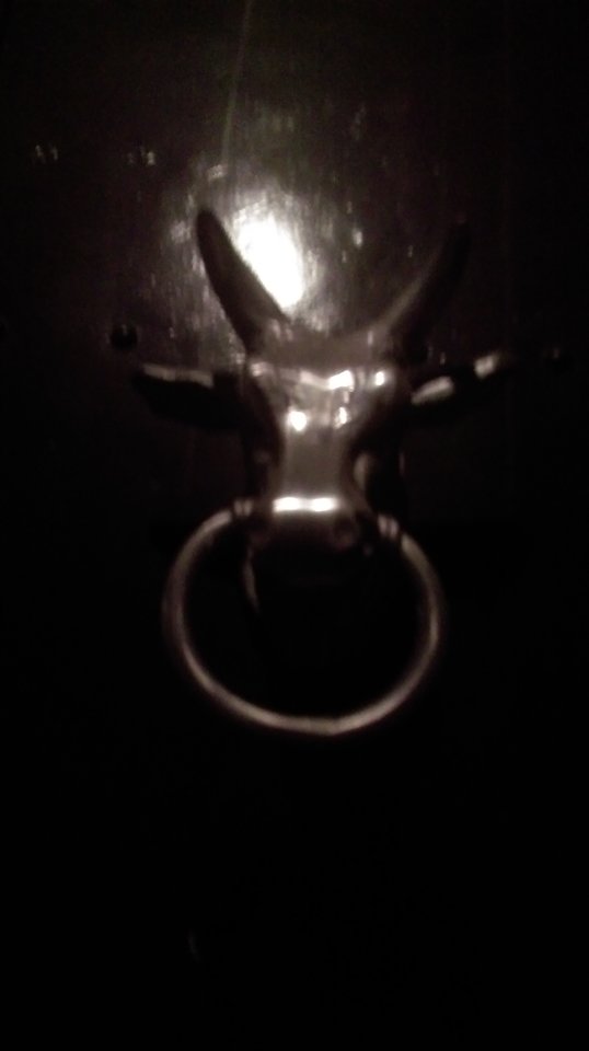 IMAG0568.jpg - osobkaa