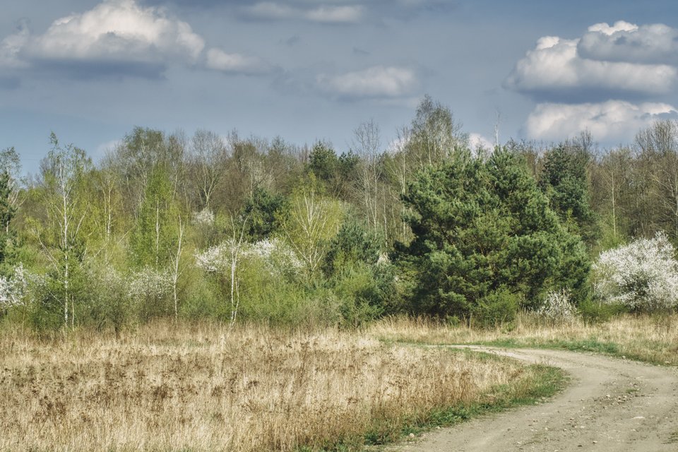 wiosna stara - marquiz