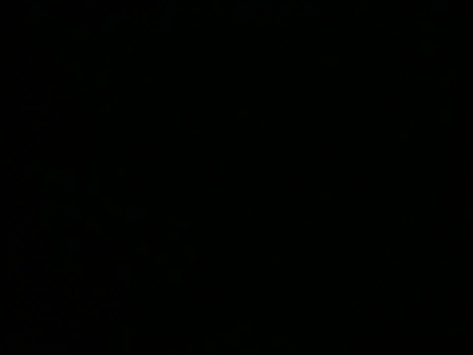 1553621046572747230367.jpg - piotr1005