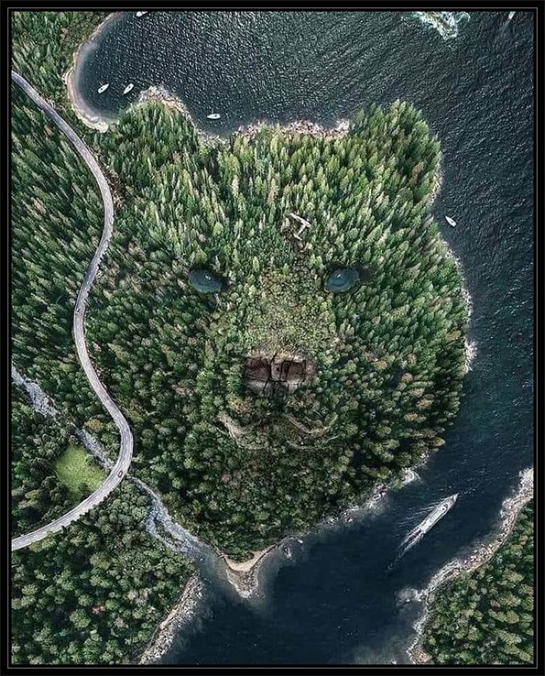 55914137_653822475069352_2817445490444992512_n.jpg - sylwester1963bis