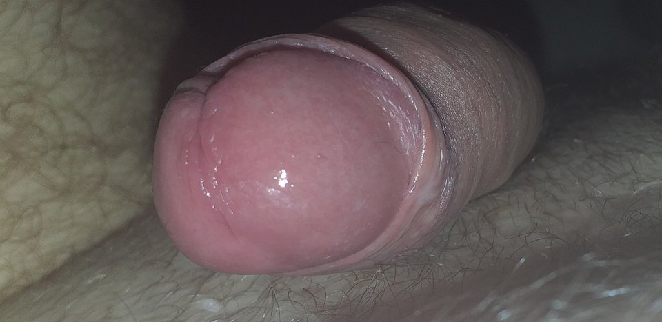 20190327_053311.jpg - grzes1983r