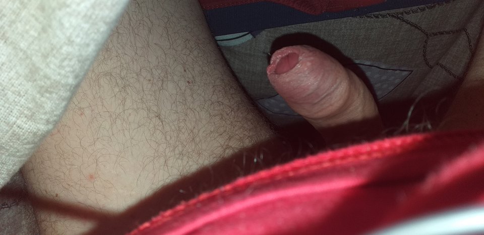 20190328_021544.jpg - grzes1983r