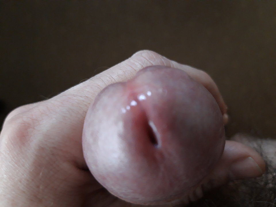 15537820639618657642314541446456.jpg - Qubappabuq