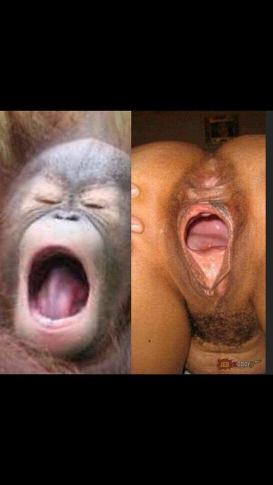 IMG-20190329-WA0000.jpg - Umberto74