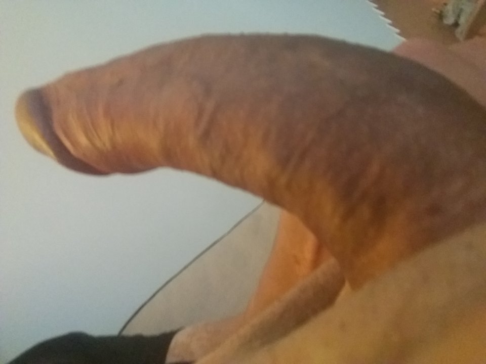 20190122_113907.jpg - Gregorr30