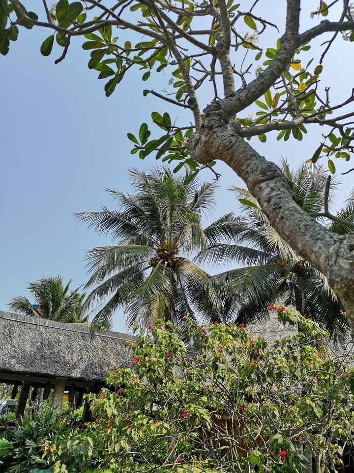 IMG_20190318_100749.jpg - Niunia109