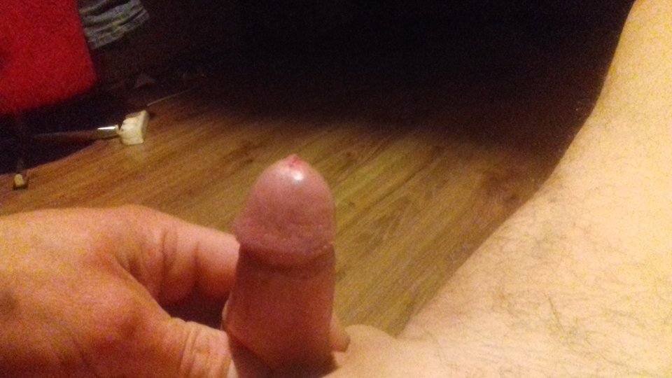 1553918162812-912194938.jpg - Davinczi85