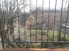 20190330_100752.jpg