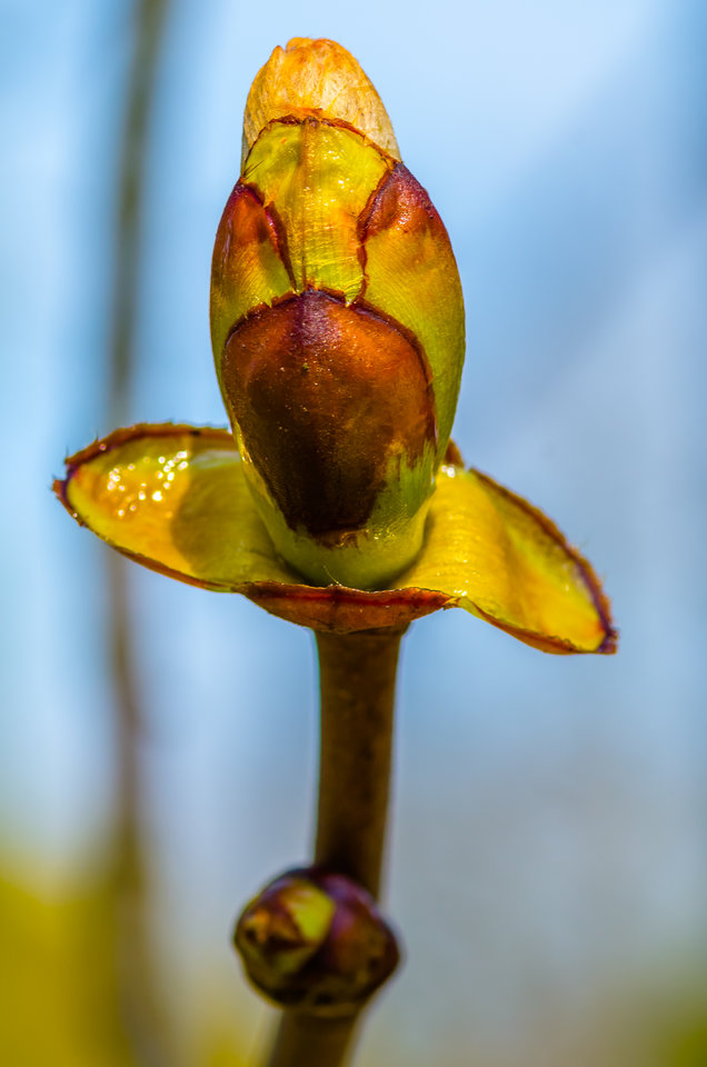 Jest dobrze :) - mystic