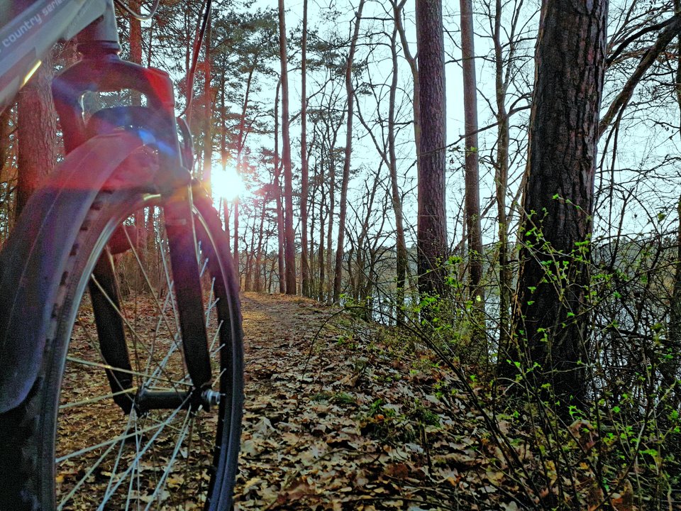 20190330_182546.jpg - Alien65