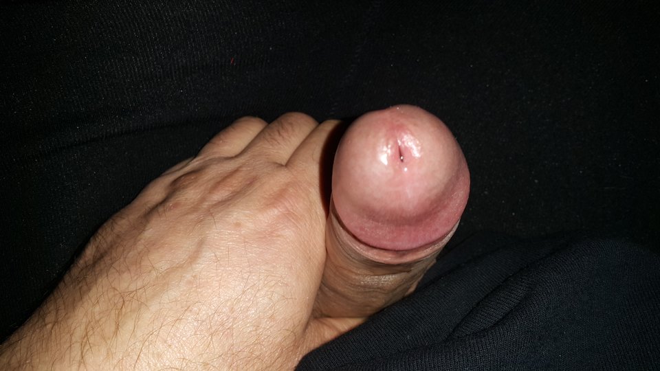 20190317_045300.jpg - Grubasek1970