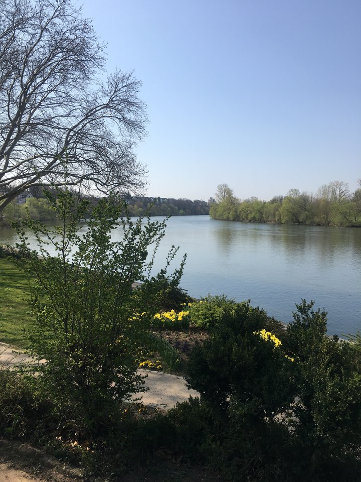 604C4985-3E10-443A-B210-D402FD32F8FE.jpeg - pawelsolt