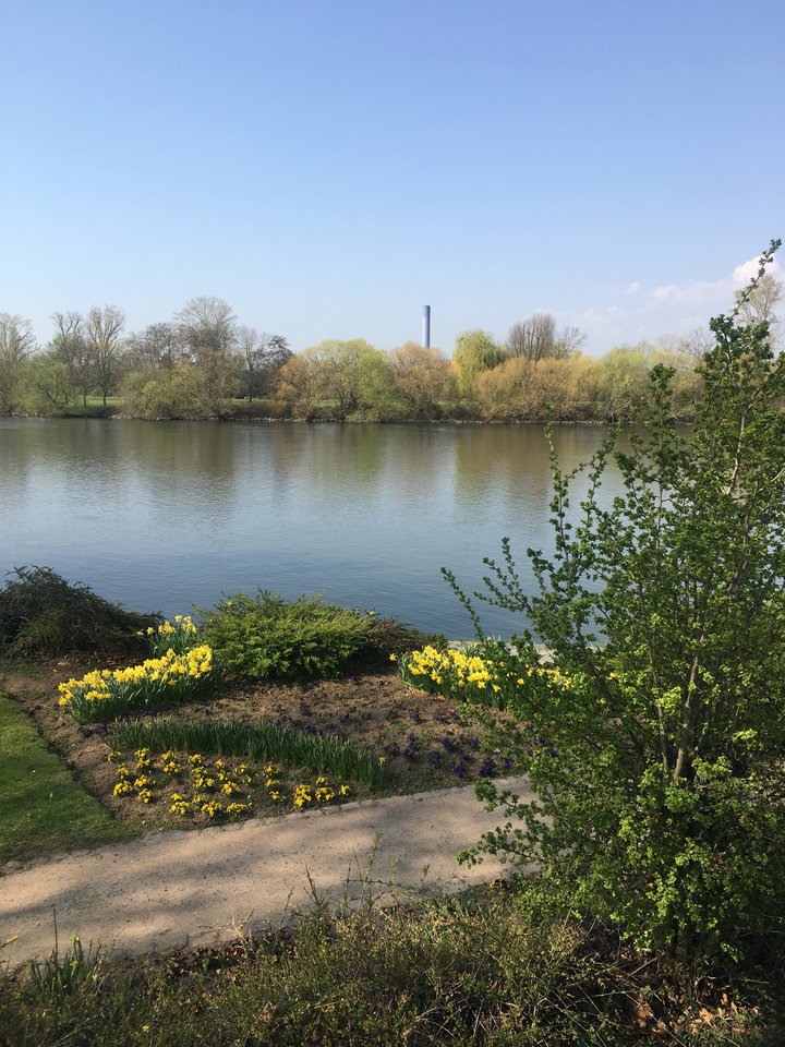 ABC4ED23-7718-4839-A1C5-1B0F73D46CA6.jpeg - pawelsolt