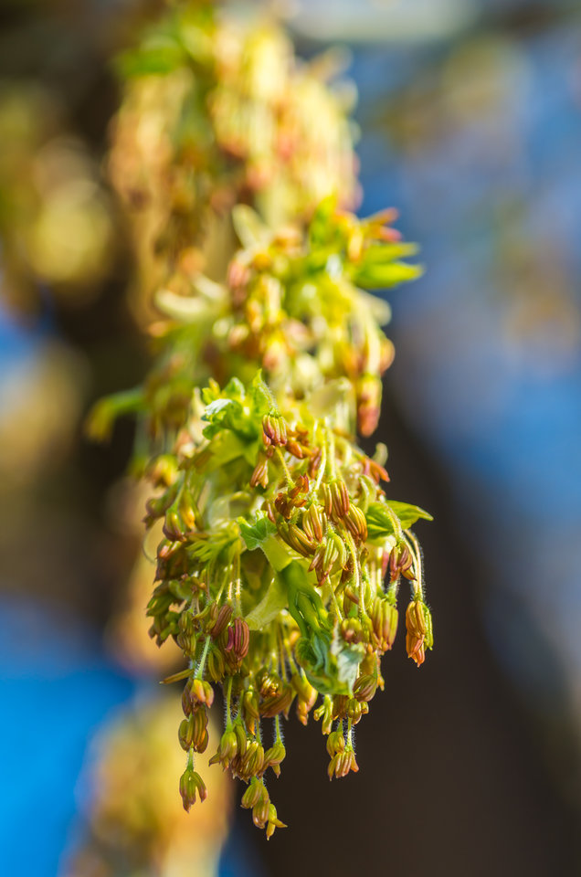 Obudziło się i zwisa :) - mystic