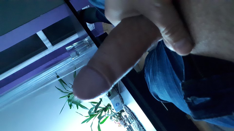 15540697904063179720550884859684.jpg - gibon7