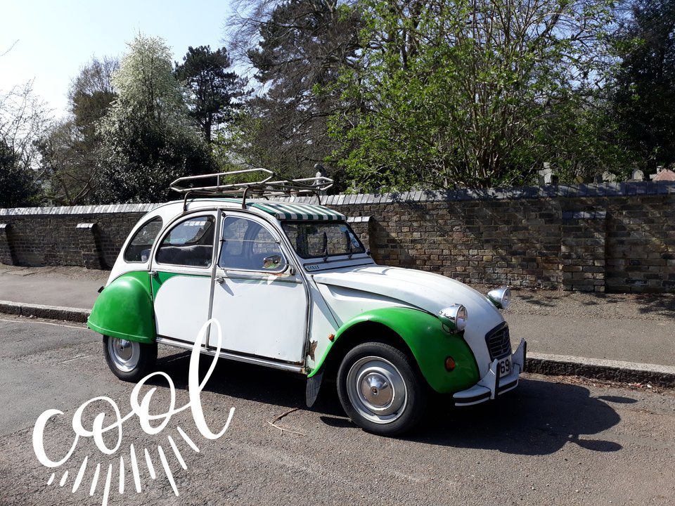 20190401_123532.jpg - amellkaaa