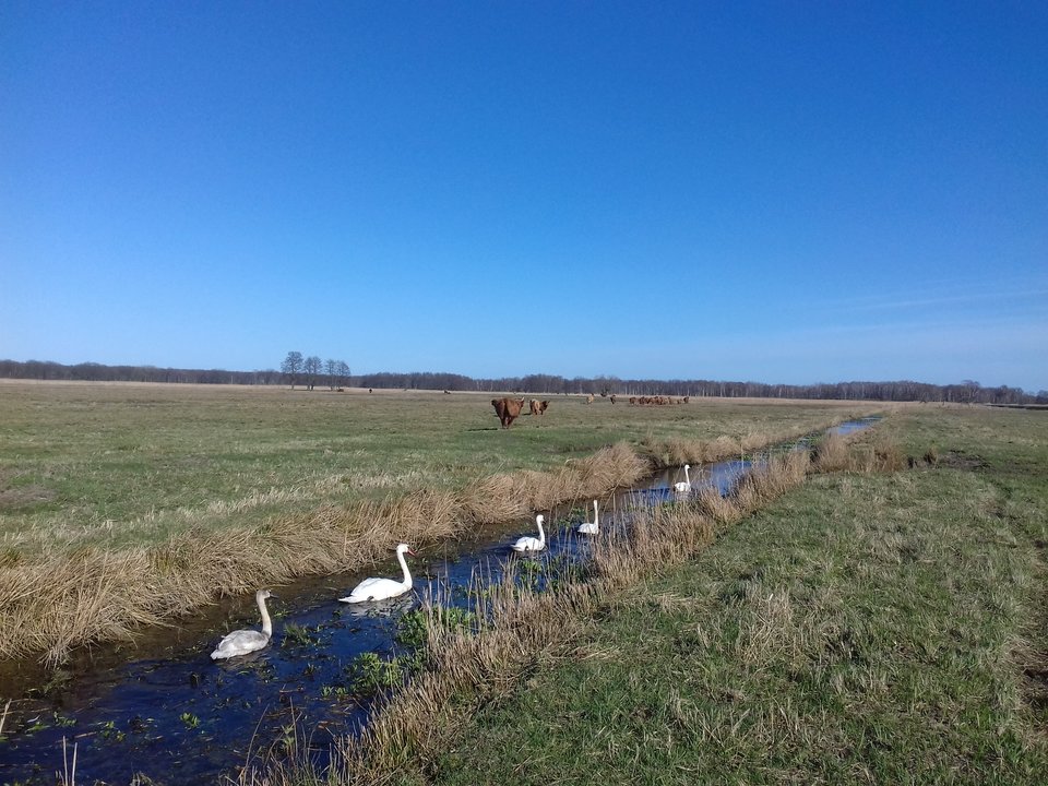 20190331_161911.jpg - torii99