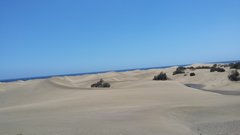 20160407_143933.jpg