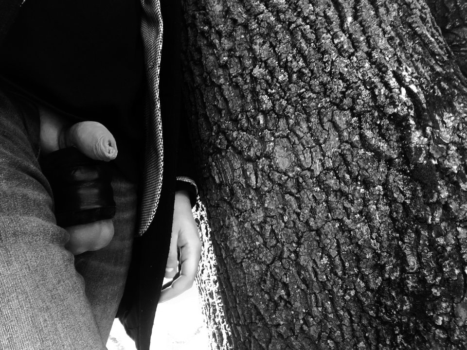 IMG_20190402_132537.jpg - RATCVAC