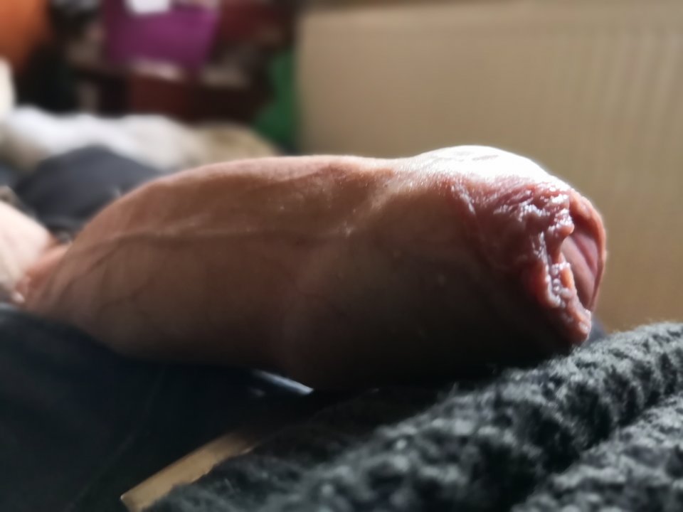 IMG_20190403_161549.jpg - ragun