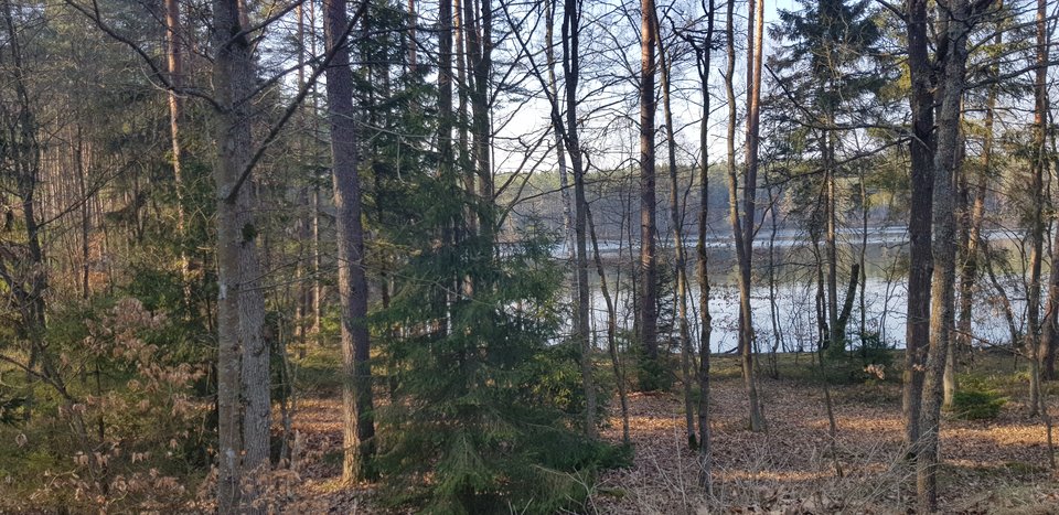20190404_163537.jpg - Bystrzak9