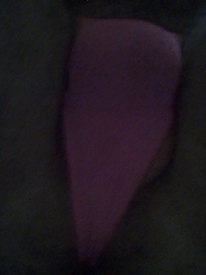 IMG_20170917_133255.jpg - rita13109