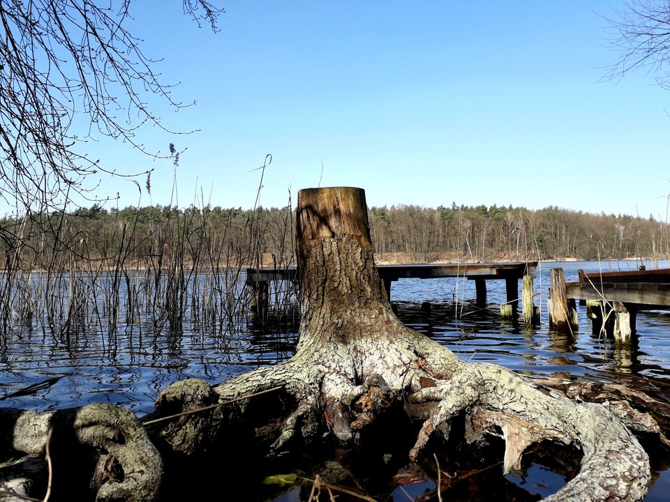 20190404_180543.jpg - Alien65