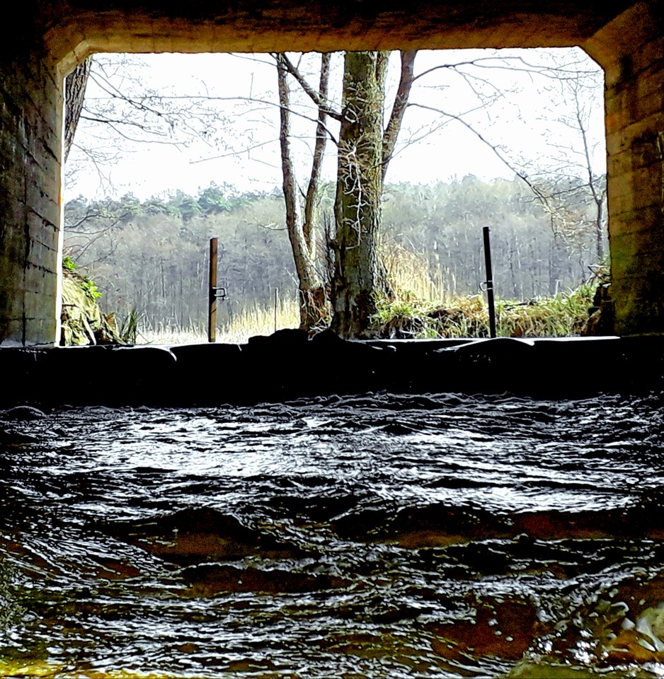 20190405_183716.jpg - Alien65