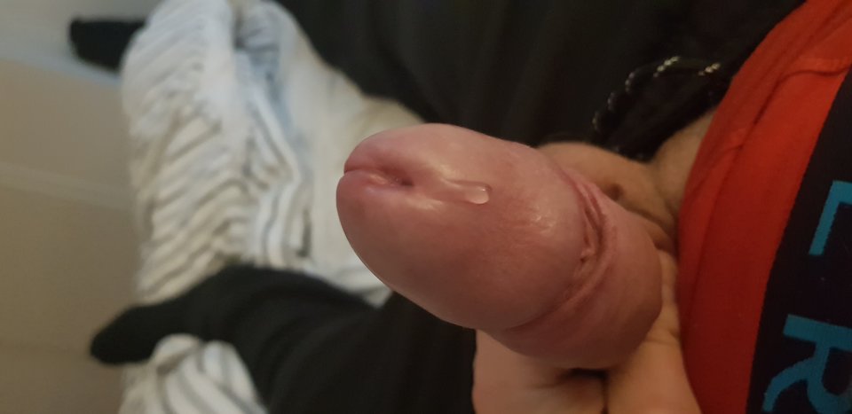 15546171745255215644335387927400.jpg - Zminimalizowany