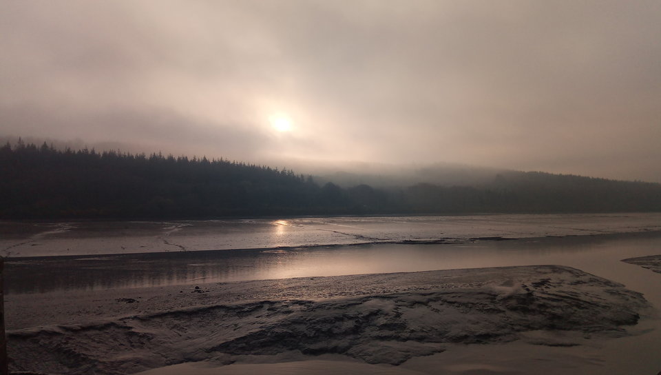 IMG_20190407_075302_6.jpg - Startos