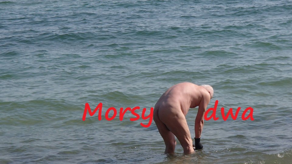 Plaża 6 kwietnia 2019 roku. - Morsy_dwa