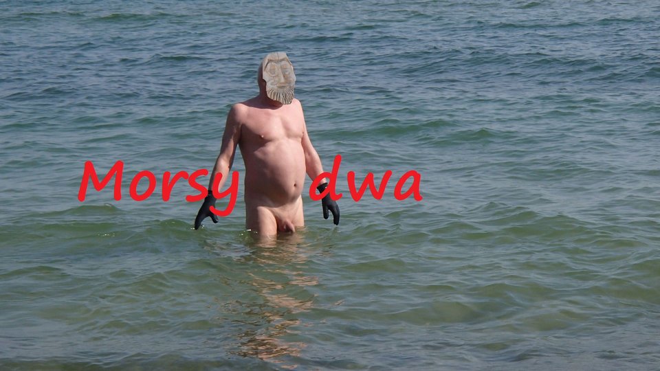 Plaża 6 kwietnia 2019 roku. - Morsy_dwa