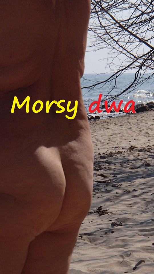 Plaża 6 kwietnia 2019 roku. - Morsy_dwa