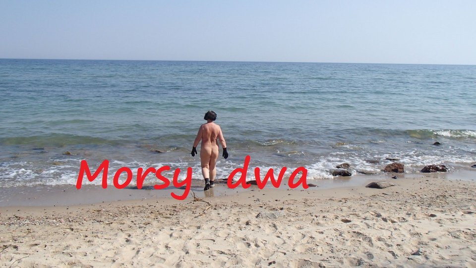 Plaża 6 kwietnia 2019 roku. - Morsy_dwa