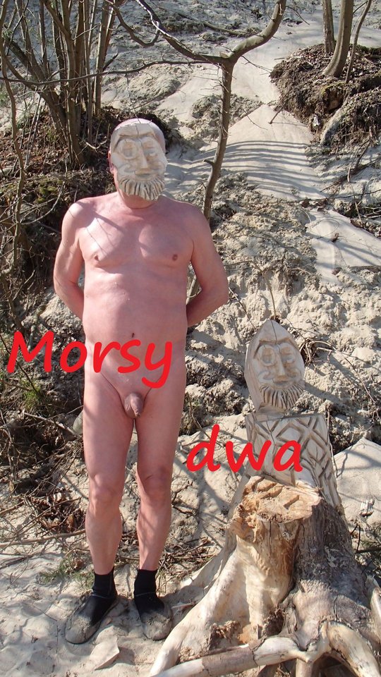 Plaża 6 kwietnia 2019 roku. - Morsy_dwa
