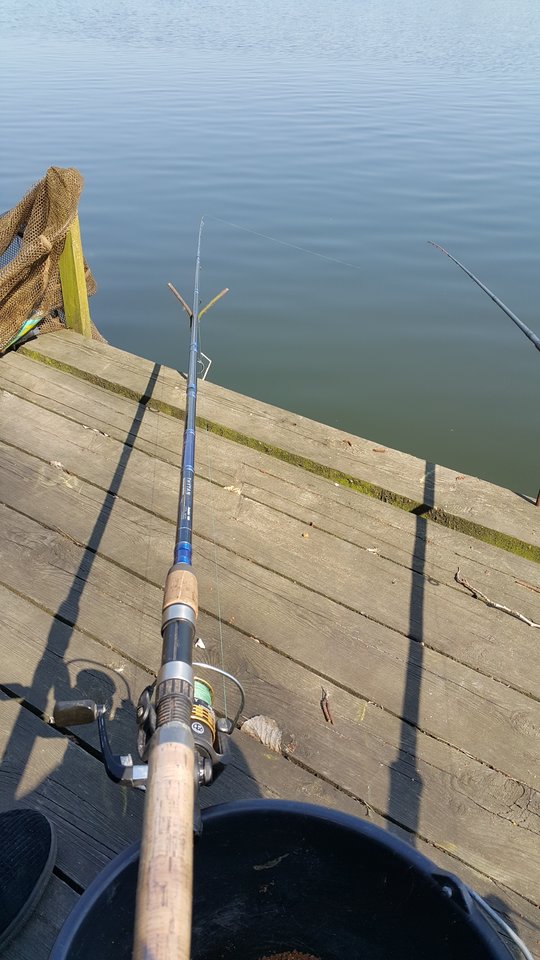 20190407_134248.jpg - tobiasz67