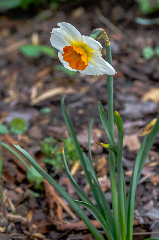 Tak będę sobie stać :) - mystic