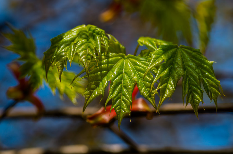 Kontrastowo - mystic