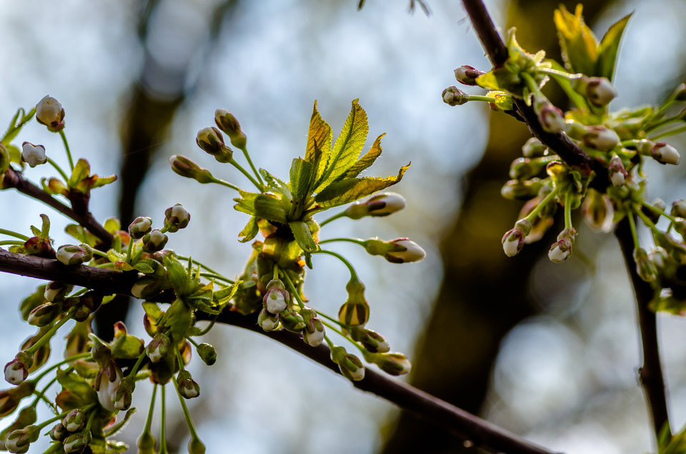 Jeszcze moment... - mystic