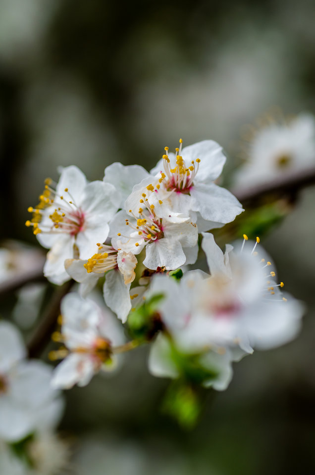 Miłe dla oka - mystic
