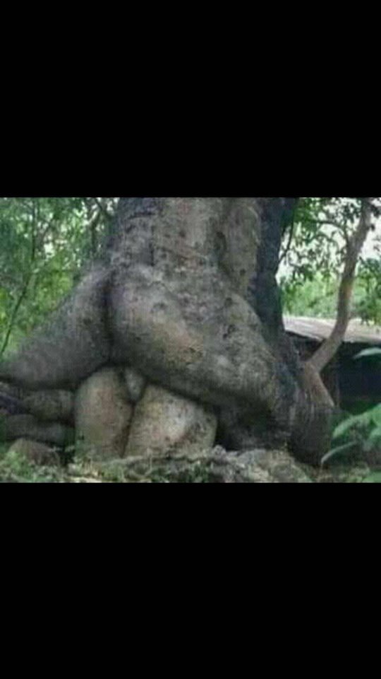 IMG-20190403-WA0000.jpg - joker55