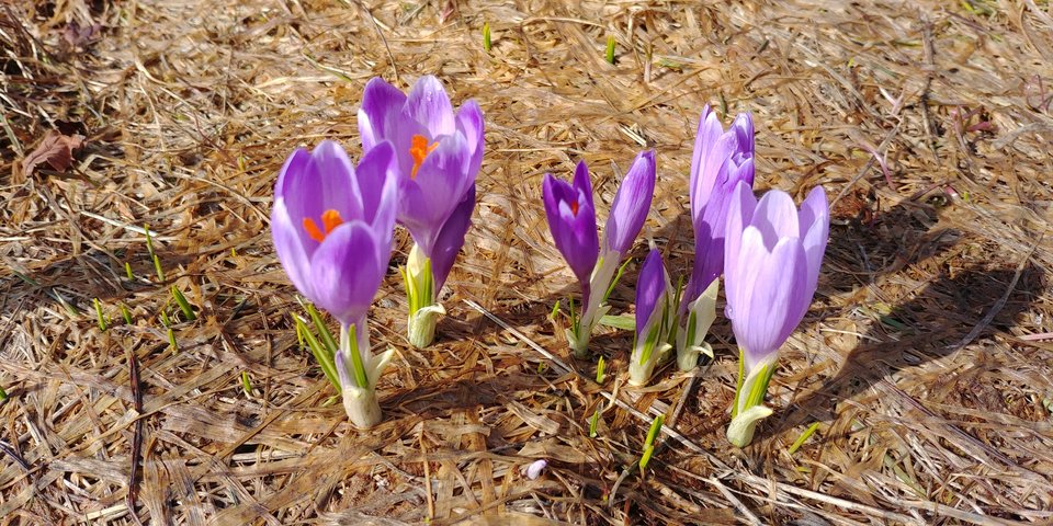 20190407_093421.jpg - jasnepelne
