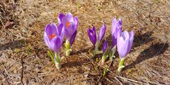 20190407_093421.jpg